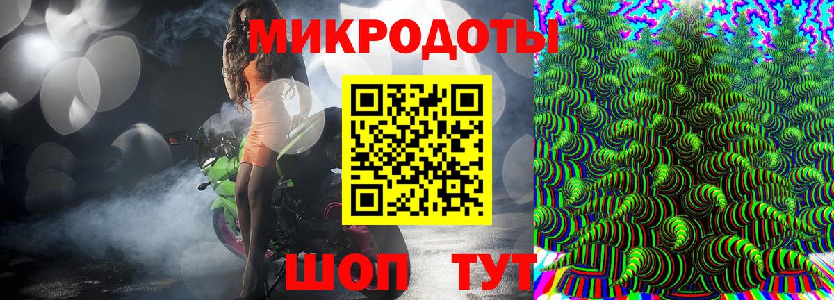 Галлюциногенные грибы Psilocybine cubensis  Вход с VPN  Каменск-Шахтинский 